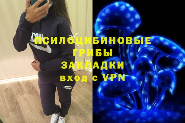 гидра Вяземский